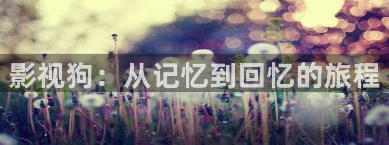 八戒,八戒电影在线观看免费